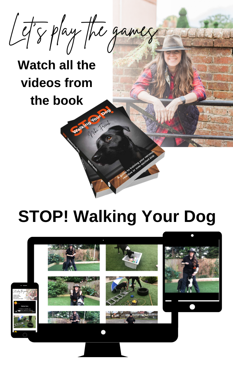 Book games videos landing page image update stop-walking-your-dog-book-games