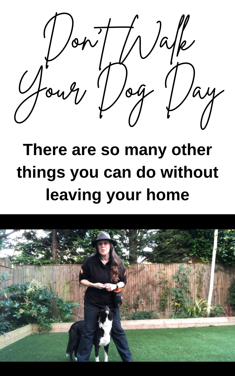 awareness-day-dont-walk-your-dog-day