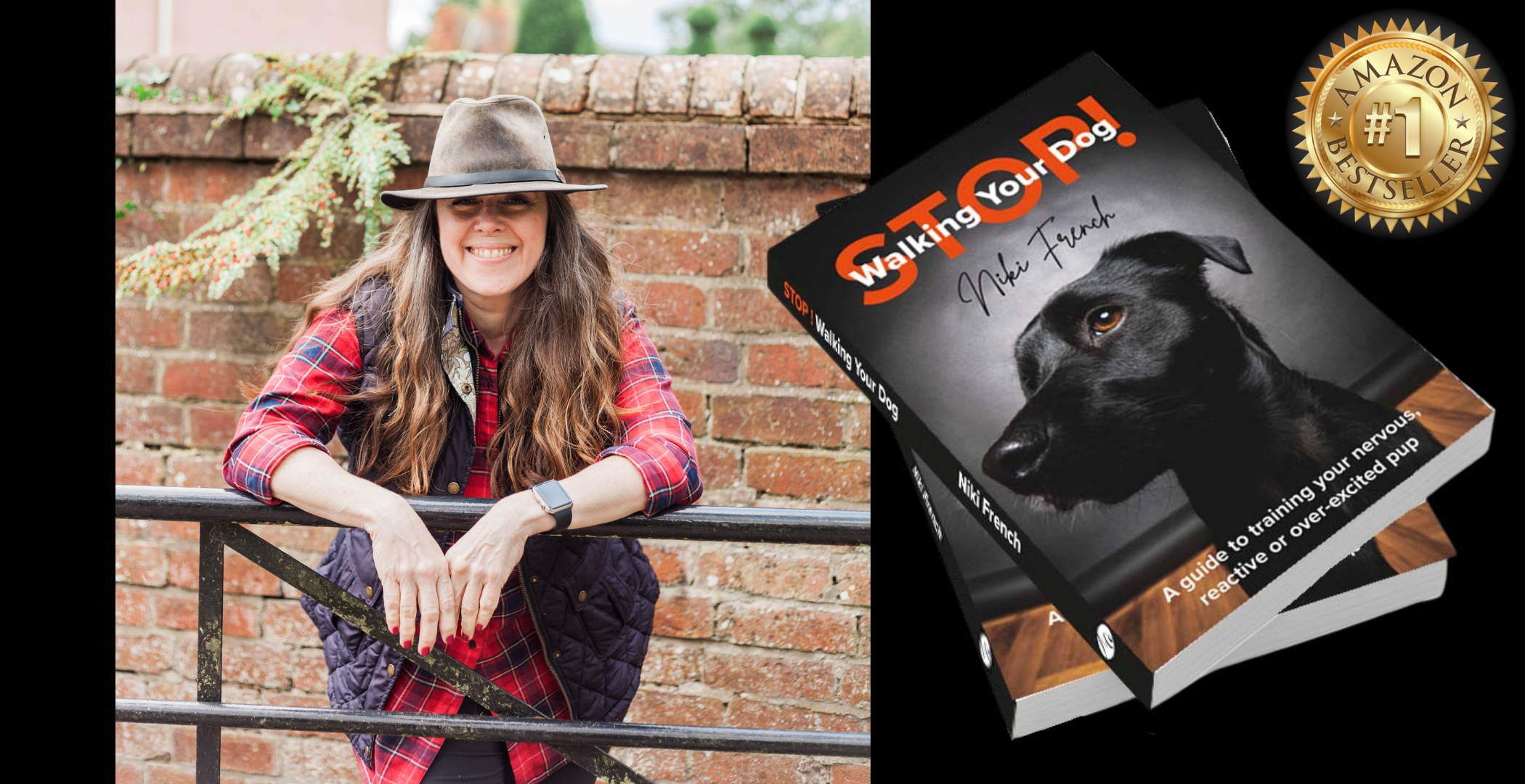 stop-walking-your-dog-book